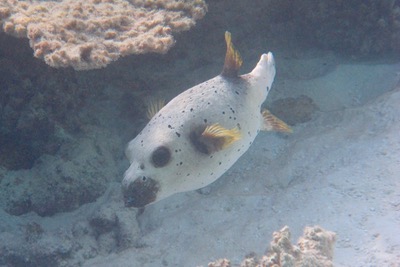 e0338303_10353565.jpg