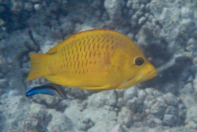 e0338303_1035516.jpg