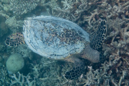 e0338303_10361584.jpg