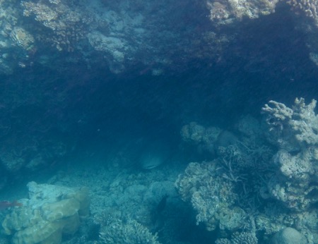 e0338303_10362623.jpg