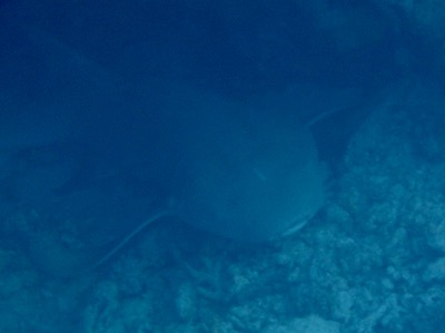 e0338303_10363532.jpg