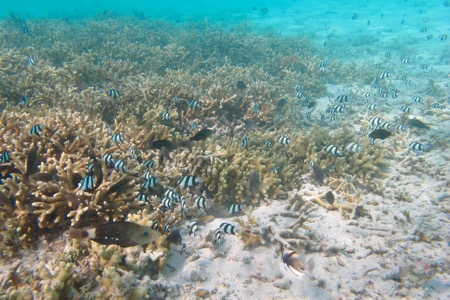 e0338303_10371253.jpg