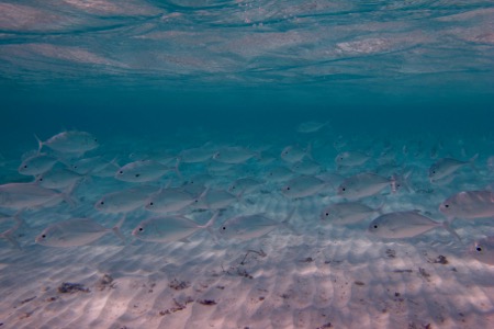 e0338303_10372390.jpg