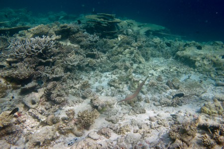 e0338303_10411716.jpg