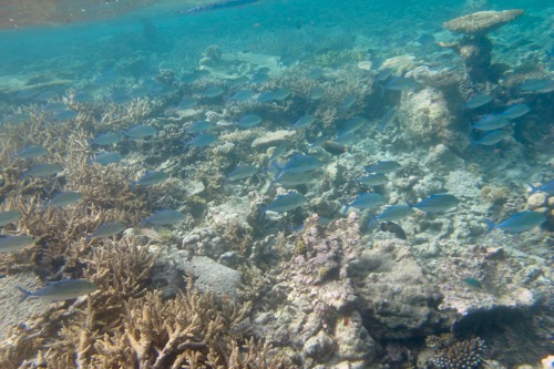 e0338303_10412854.jpg