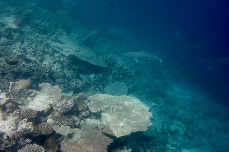 e0338303_10413592.jpg