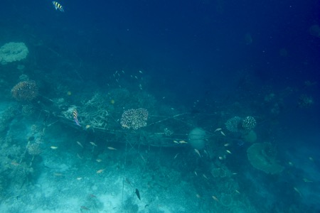 e0338303_10414023.jpg