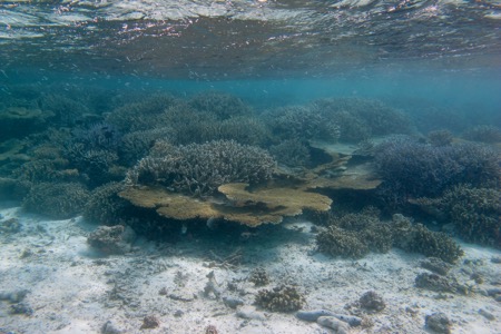 e0338303_1041457.jpg
