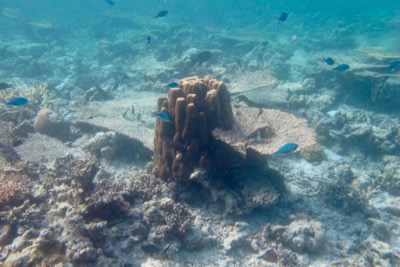 e0338303_10415688.jpg