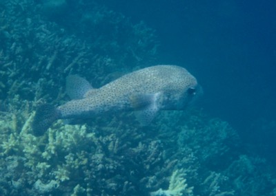 e0338303_1045880.jpg