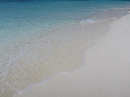 e0338303_11362113.jpg