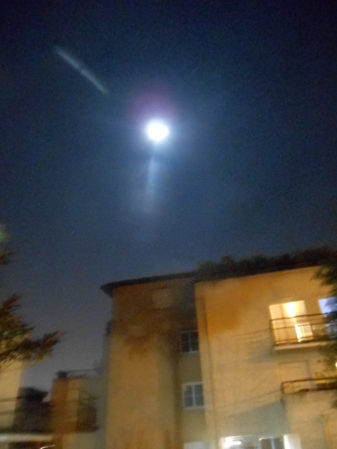a0342405_06330254.jpg