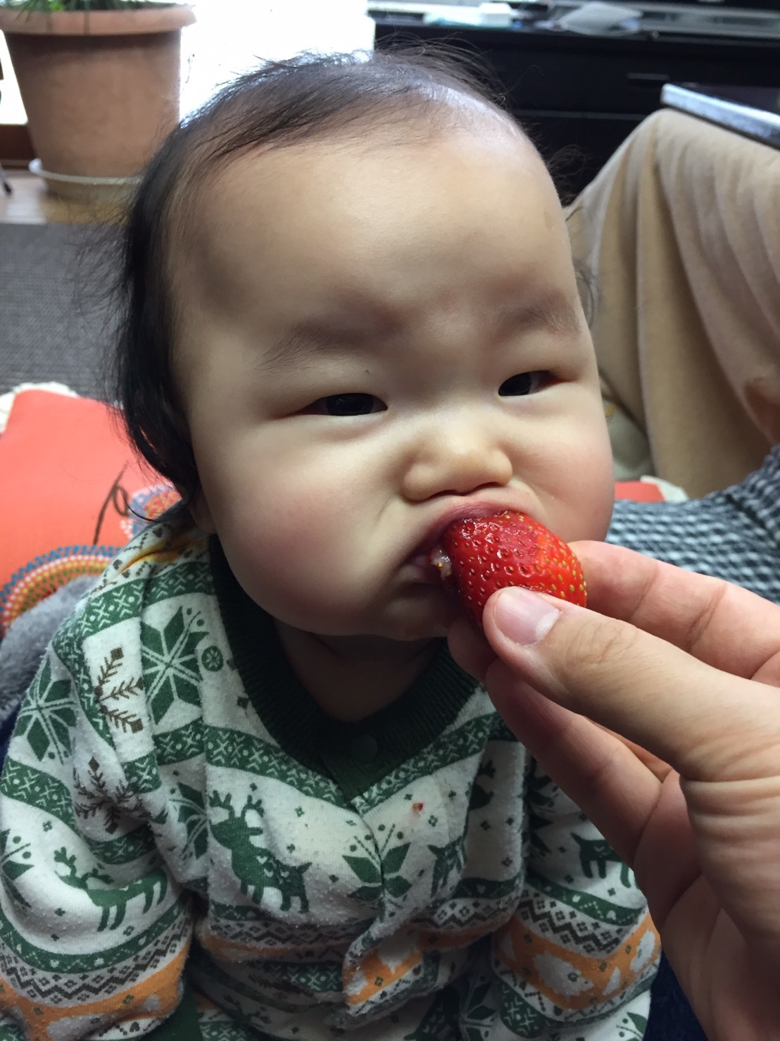 a0080406_10121699.jpg