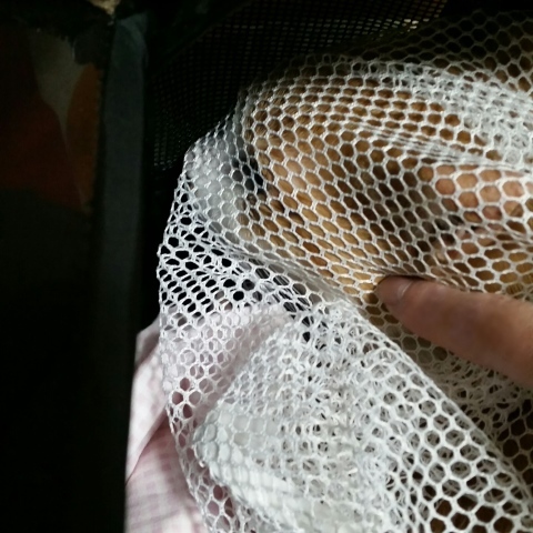 e0144012_13564878.jpeg
