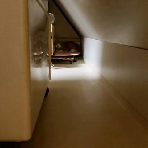 e0144012_14083650.jpeg