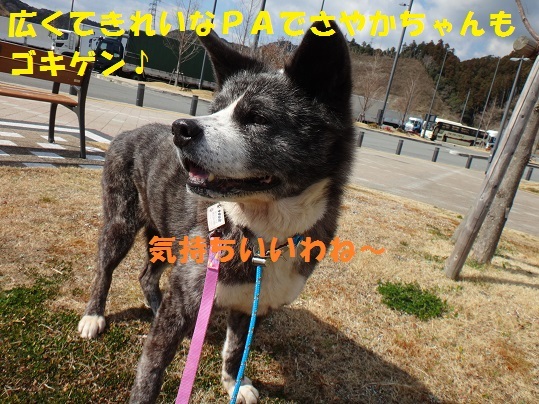 f0121712_09500889.jpg