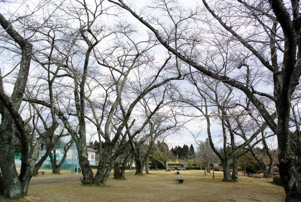 d0179113_00245748.jpg