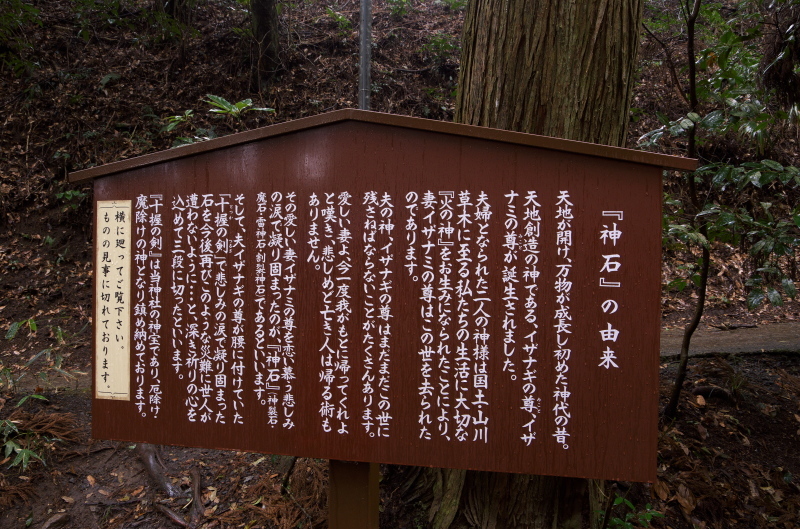 東霧島（つまきりしま）神社_c0358219_14263494.jpg