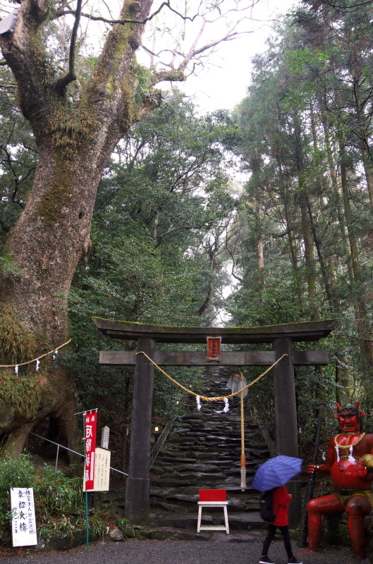 東霧島（つまきりしま）神社_c0358219_14352897.jpg