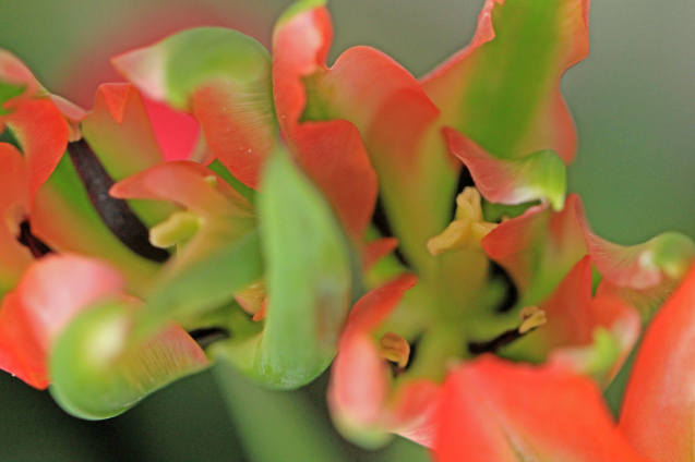 c0104227_20094336.jpg