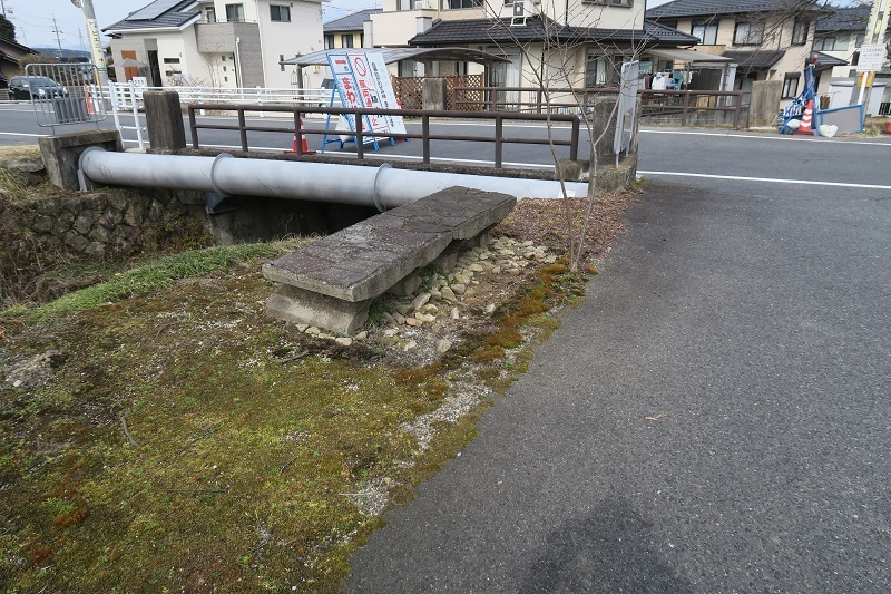 孟春の予感とトレジア_f0076731_19584521.jpg