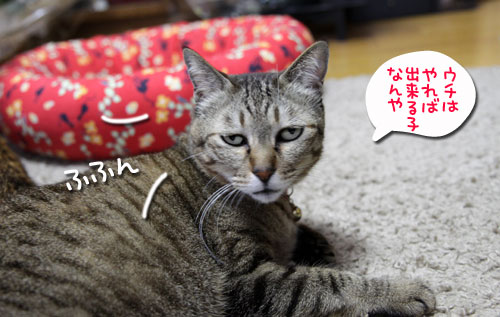 くっつきおしり_d0355333_10550447.jpg