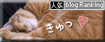 くっつきおしり_d0355333_10550597.jpg