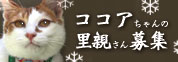 こうちゃん幸せへの旅立ち_d0355333_10550912.jpg