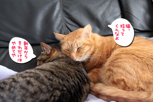 あけましておめでとうございます_d0355333_10551397.jpg