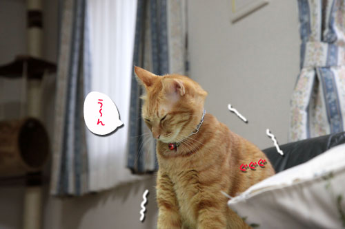 ちょっくら都会へ_d0355333_10551984.jpg