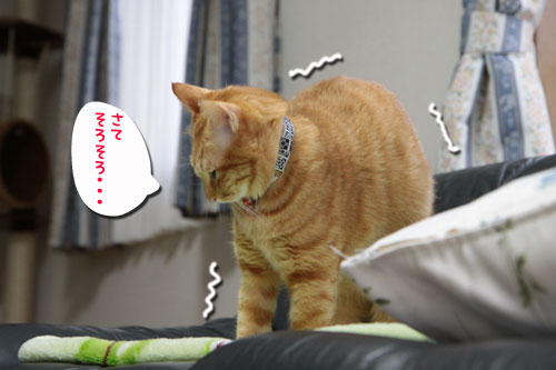 ちょっくら都会へ_d0355333_10552041.jpg