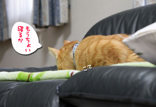 ちょっくら都会へ_d0355333_10552091.jpg