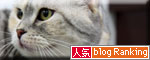 主役が交代_d0355333_10554402.jpg