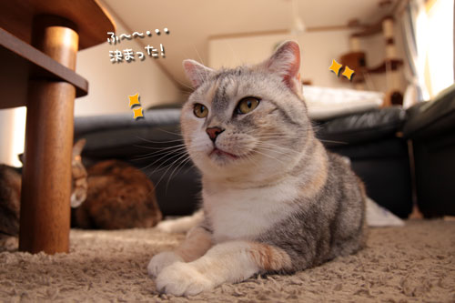しょうゆはダメでしょ!_d0355333_10560236.jpg