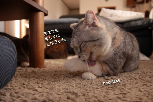 しょうゆはダメでしょ!_d0355333_10560281.jpg
