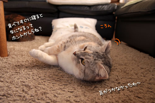しょうゆはダメでしょ!_d0355333_10560287.jpg