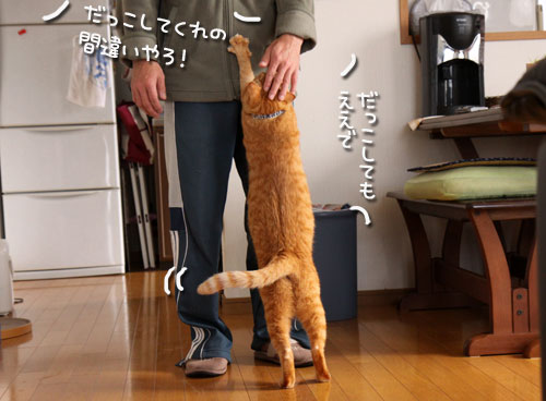 やれば出来る子へのご褒美は?_d0355333_10563058.jpg