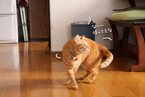 やれば出来る子へのご褒美は?_d0355333_10563166.jpg