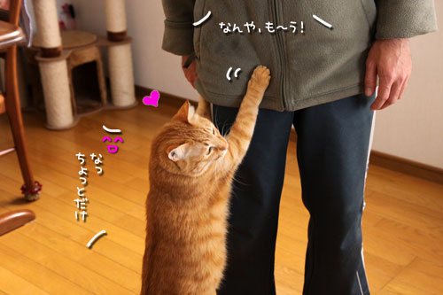 やれば出来る子へのご褒美は?_d0355333_10563174.jpg