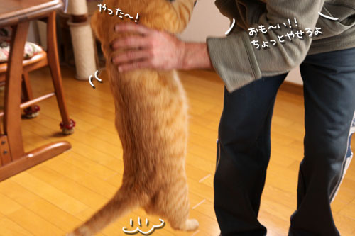 やれば出来る子へのご褒美は?_d0355333_10563294.jpg