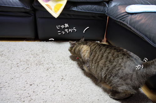 脱走対策について考える_d0355333_10563978.jpg