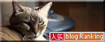 ずっと見ていたくなる_d0355333_10564781.jpg