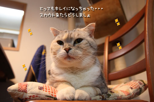 スカウトは来ないのかしらね?_d0355333_10565083.jpg