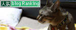猫の日インタビュー_d0355333_10585639.jpg