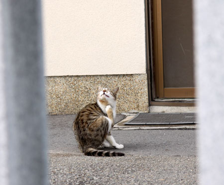 縁ある子を見送って。_d0355333_11001929.jpg