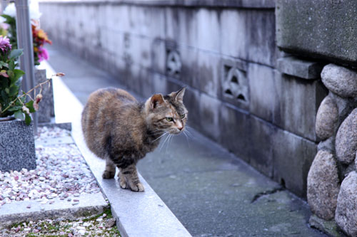 縁ある子を見送って。_d0355333_11002127.jpg