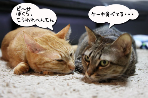 ホワイトデーは・・・_d0355333_11002354.jpg