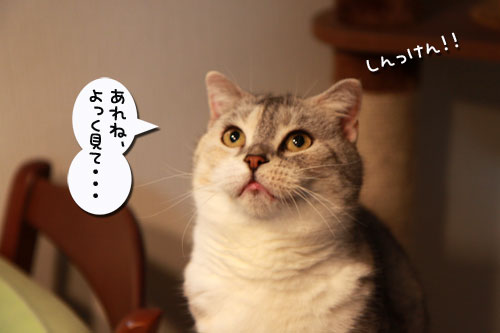 その気になれば!_d0355333_11002820.jpg