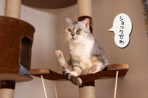 あ~あ・・・_d0355333_11004332.jpg