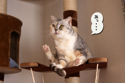 あ~あ・・・_d0355333_11004366.jpg